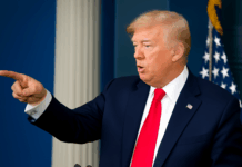 Trump's National Security Council in Crisis: Firings and Cuts